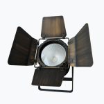 COB PAR 100/200 LED WASH Light